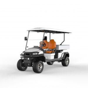 LT-C727 Customized - long utility vehicle