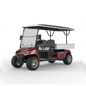 LT-A827 Customized - long utility vehicle