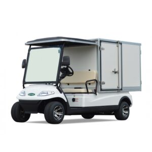 2 seater housekeeping car