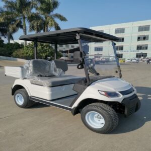 2 Seater Electric Cargo Car （LT-A827.2 cargo）